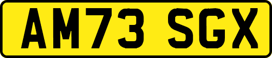 AM73SGX
