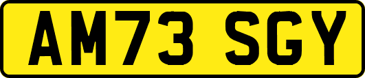 AM73SGY