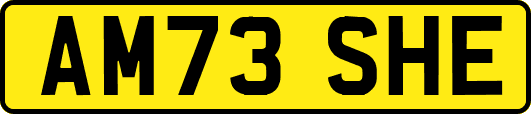 AM73SHE
