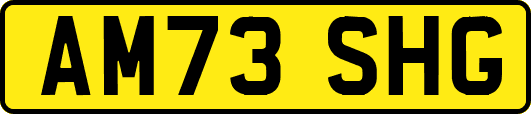 AM73SHG