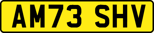 AM73SHV