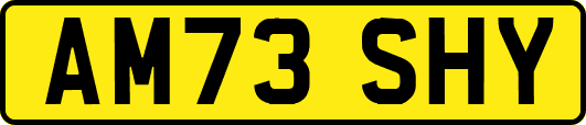 AM73SHY