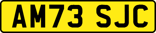 AM73SJC