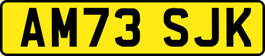 AM73SJK
