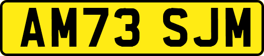 AM73SJM