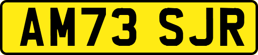 AM73SJR