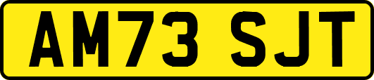 AM73SJT