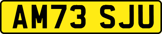 AM73SJU