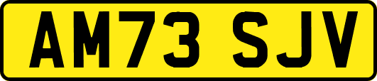AM73SJV