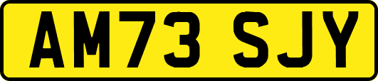 AM73SJY