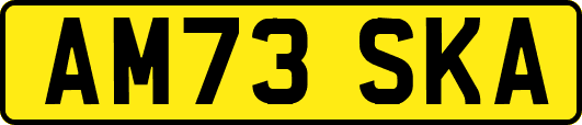 AM73SKA