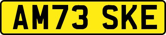 AM73SKE