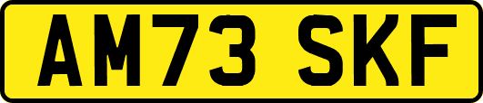 AM73SKF