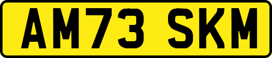 AM73SKM