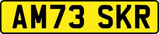 AM73SKR