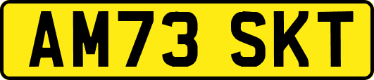 AM73SKT