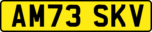 AM73SKV