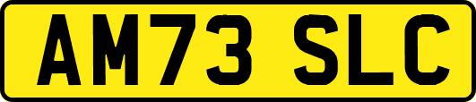 AM73SLC