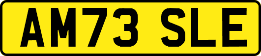 AM73SLE