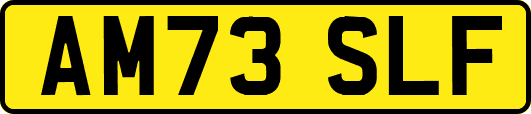 AM73SLF