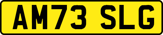 AM73SLG
