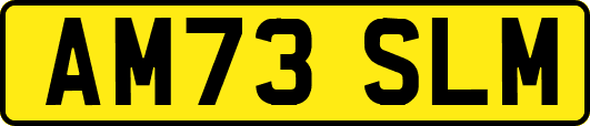 AM73SLM