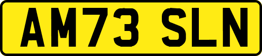 AM73SLN