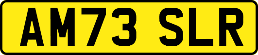 AM73SLR