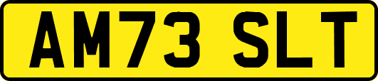 AM73SLT