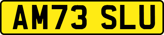 AM73SLU