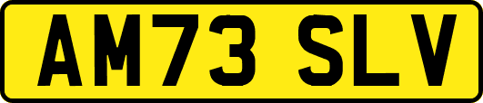AM73SLV