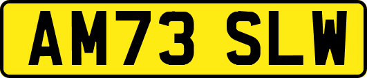 AM73SLW