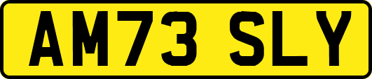 AM73SLY