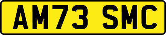 AM73SMC