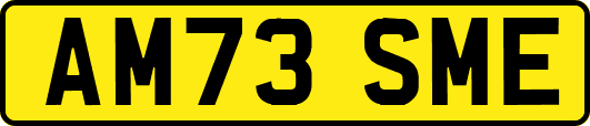 AM73SME