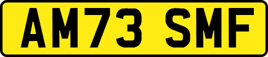 AM73SMF