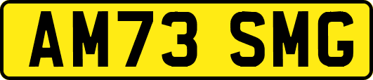 AM73SMG