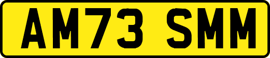 AM73SMM