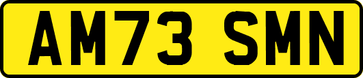 AM73SMN