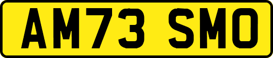 AM73SMO