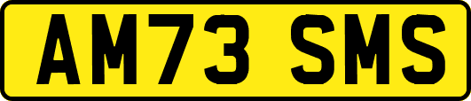 AM73SMS