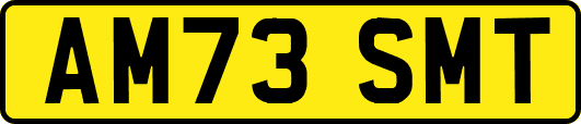 AM73SMT