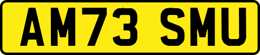AM73SMU