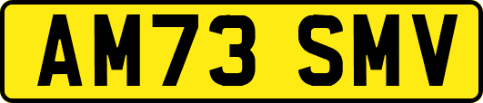 AM73SMV