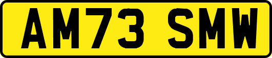 AM73SMW