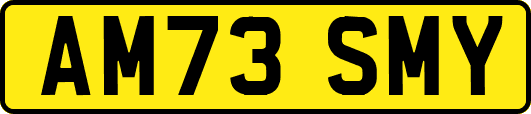 AM73SMY