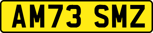 AM73SMZ
