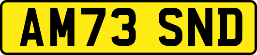 AM73SND