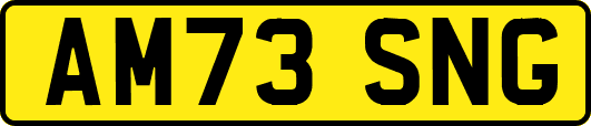 AM73SNG