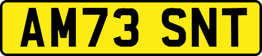 AM73SNT